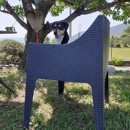 Peterpan Pietra Ligure