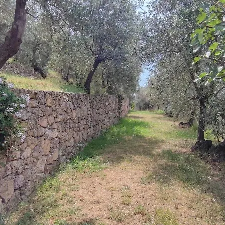 Alloggio per agriturismo Peterpan