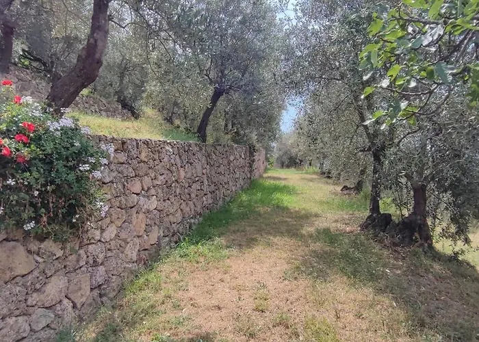 Farm stay Agriturismo Peterpan