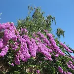 Vakantieboerderij Peterpan Pietra Ligure
