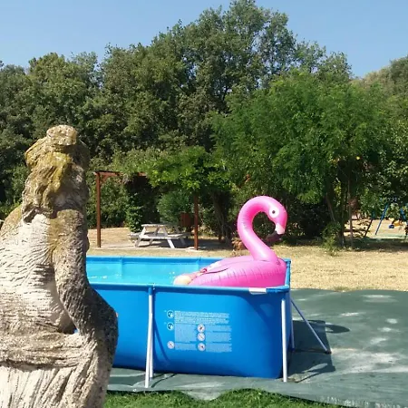 Peterpan Κατάλυμα σε φάρμα *