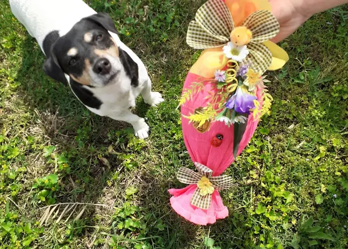 Feriegård Peterpan *